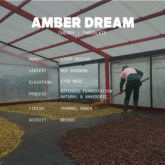 Amber Dream