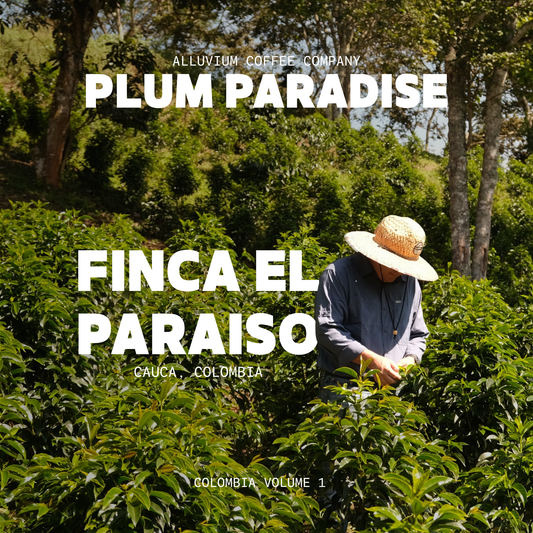 Plum Paradise